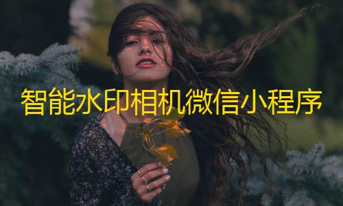 暗区突围免root直装智能水印相机微信小程序源码